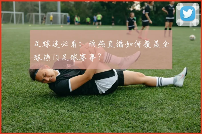 足球迷必看：雨燕直播如何覆盖全球热门足球赛事？